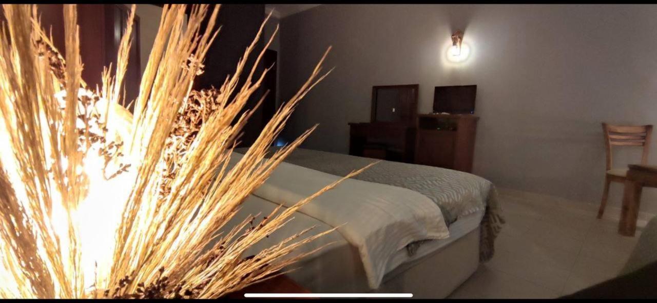 Bacahan Hotel Altınoluk 외부 사진